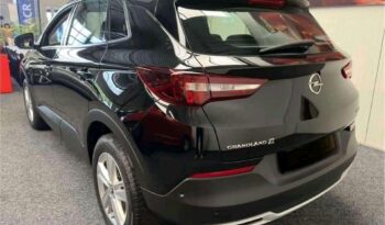 
										Opel Grandland X full									