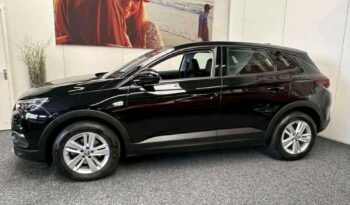 
										Opel Grandland X full									