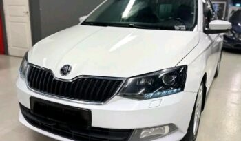 
										Skoda Fabia full									